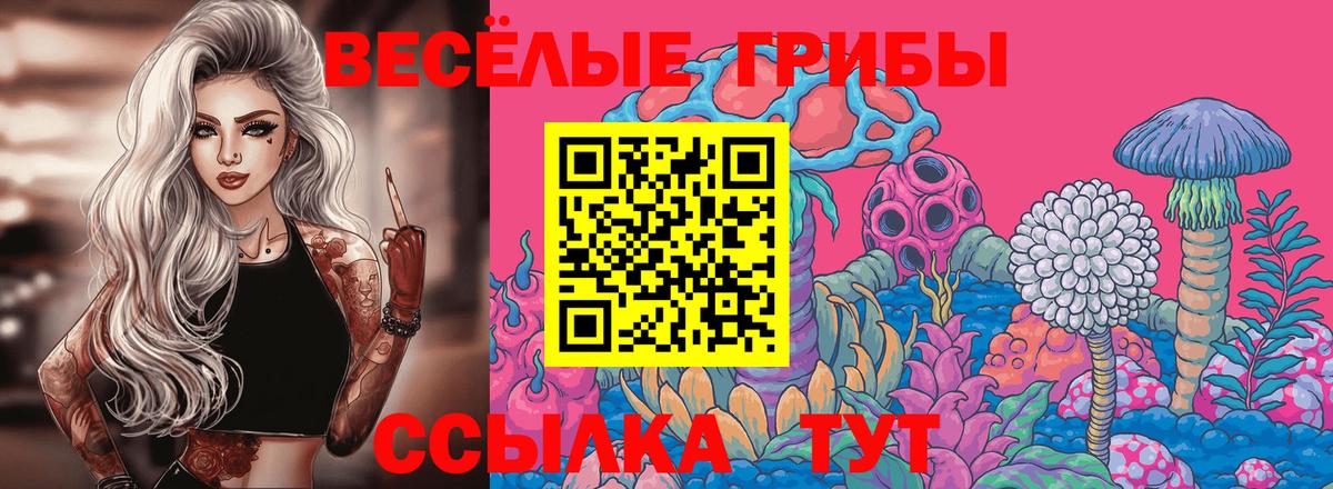 Псилоцибиновые грибы Magic Shrooms Великий Новгород