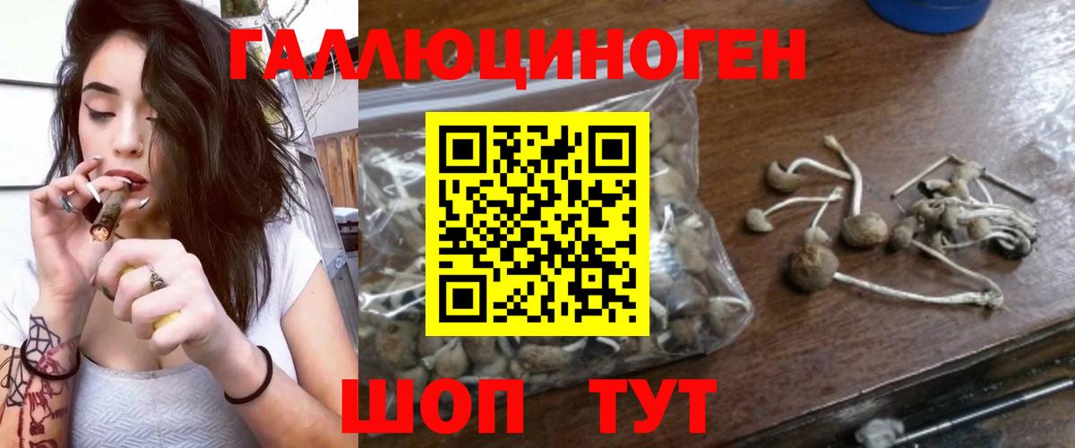 Псилоцибиновые грибы Cubensis  Вход с VPN  Великий Новгород 